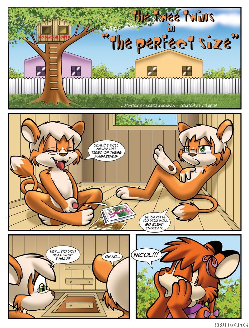 The_Pefect_Size